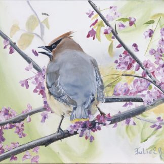 “Spring Waxwing”