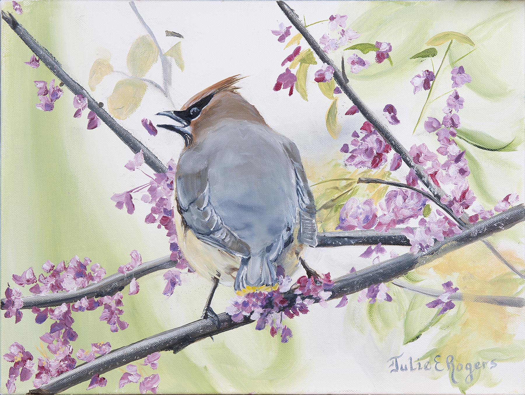 “Spring Waxwing”