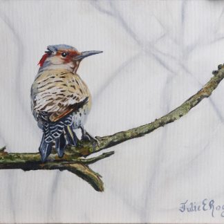 “Winter Flicker”