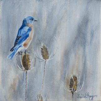 “ Mr Bluebird”