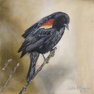 “Redwing Blackbird”