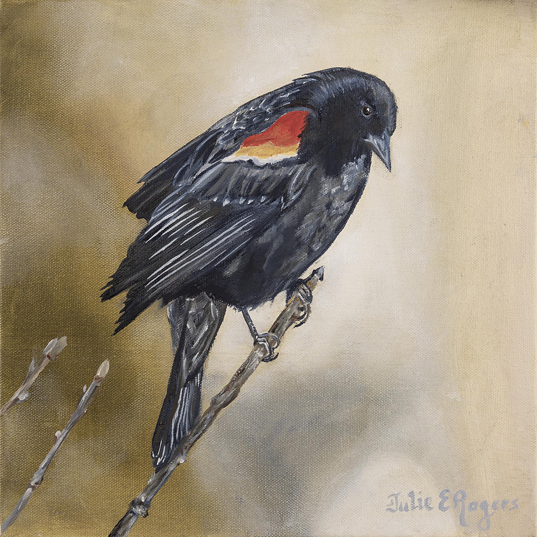 Red Winged Blackbird (2 week good turnaround)