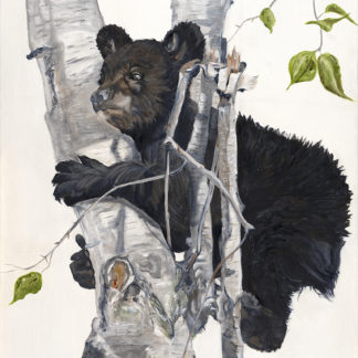 “Lillie Bear”