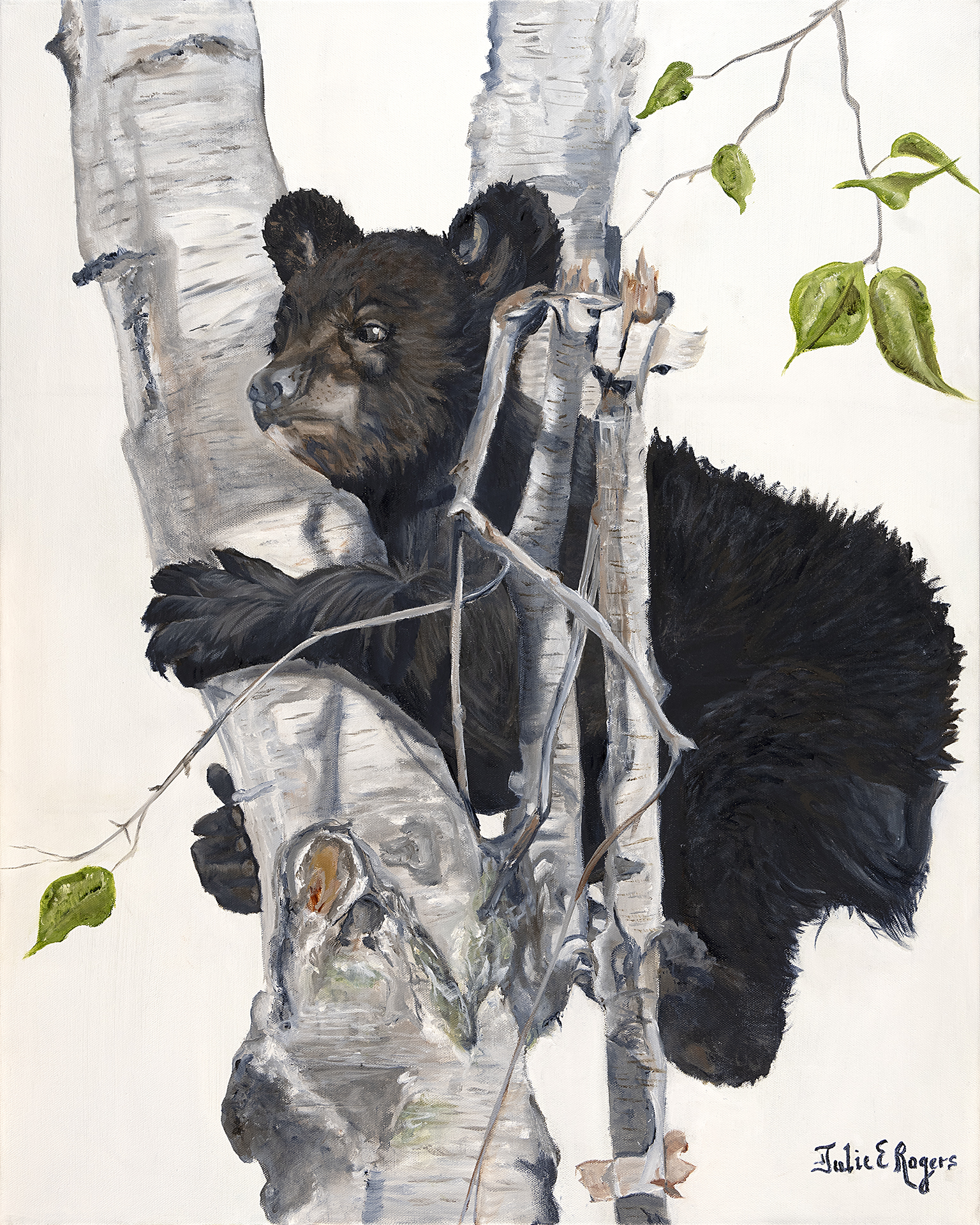 “Lillie Bear”