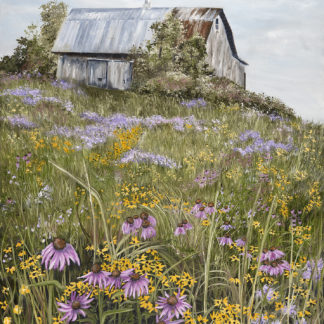 “Field of Dreams”
