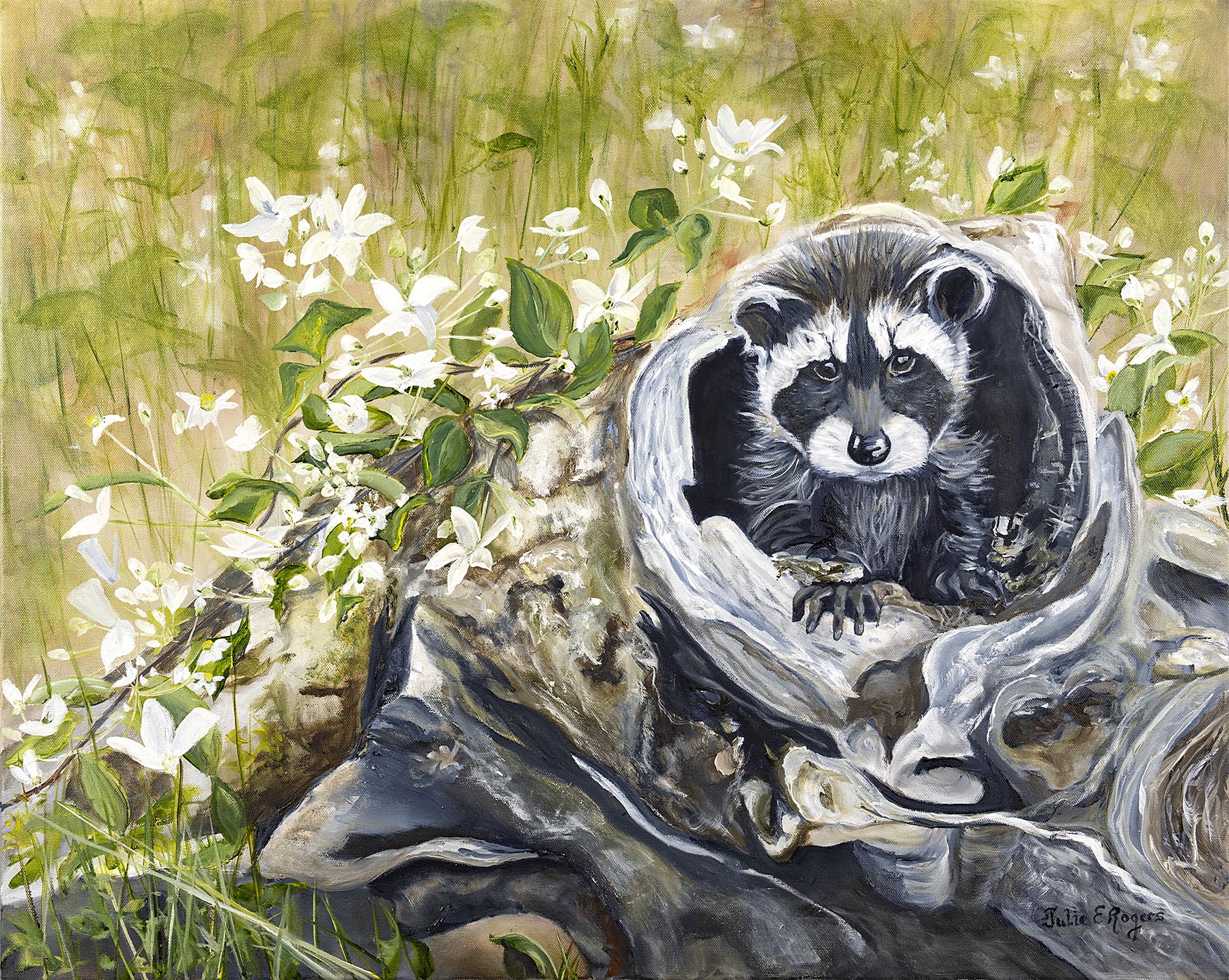 “Little Critter”