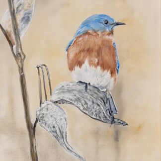 “Milkweed Bluebird”