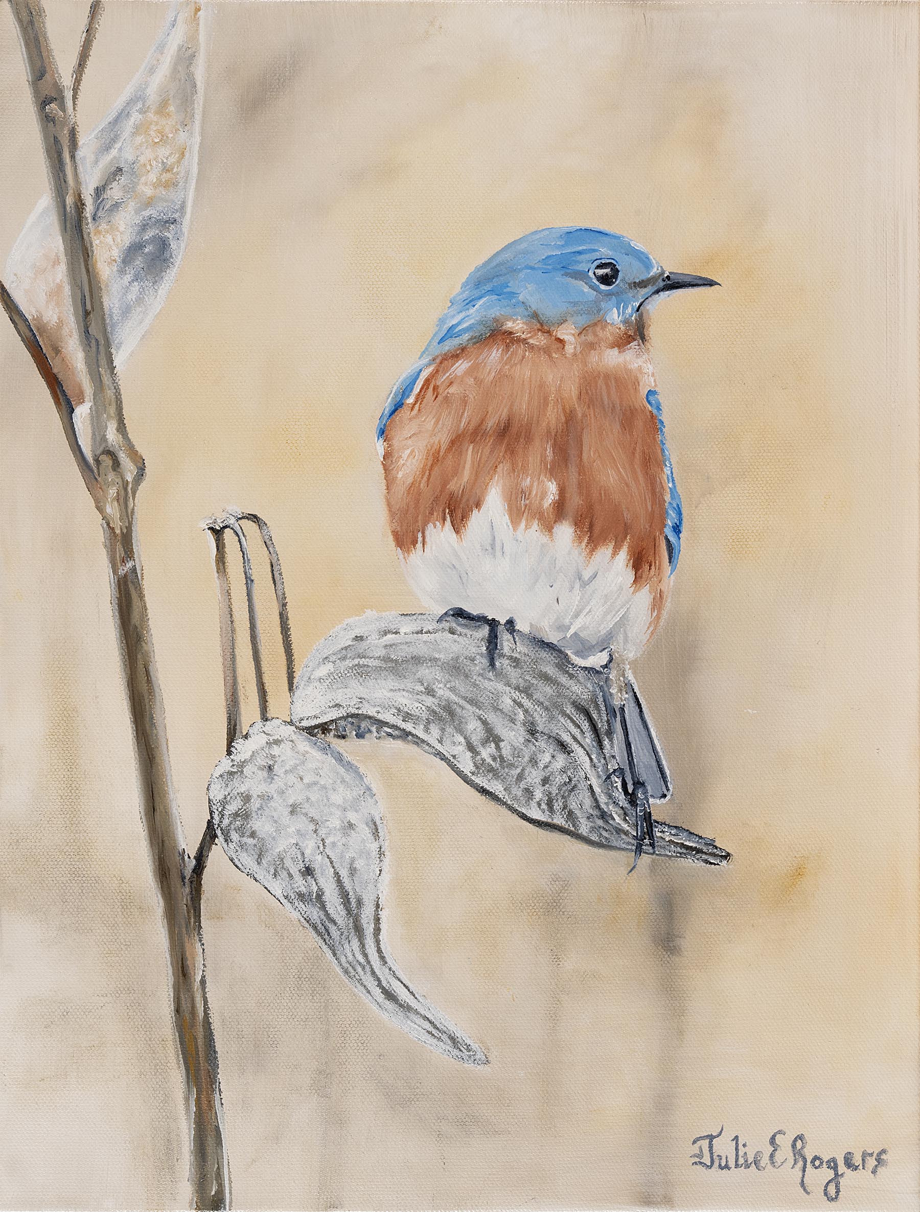 “Milkweed Bluebird”