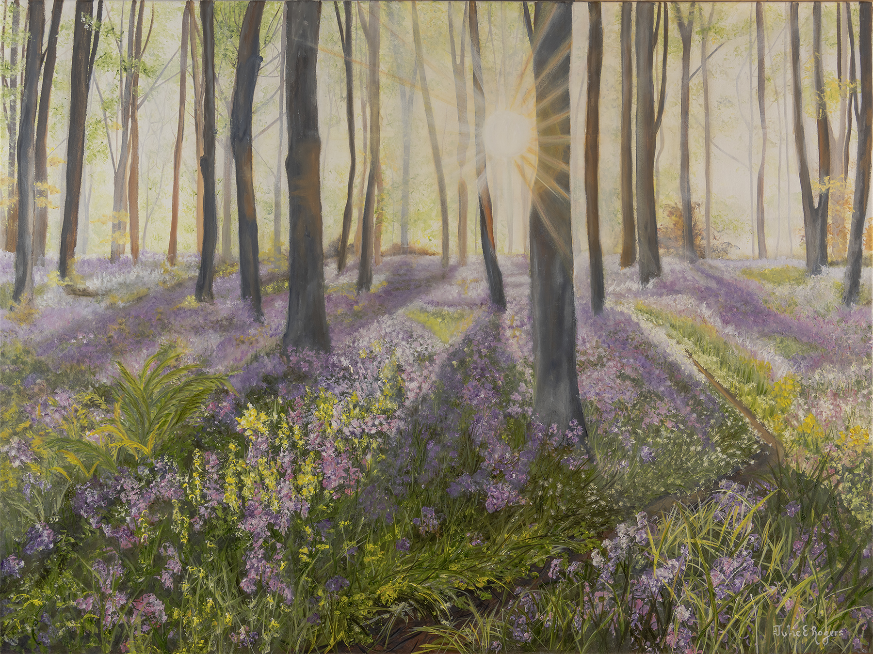 “Lavender Sunrise”