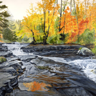“Trout Stream Dreams”