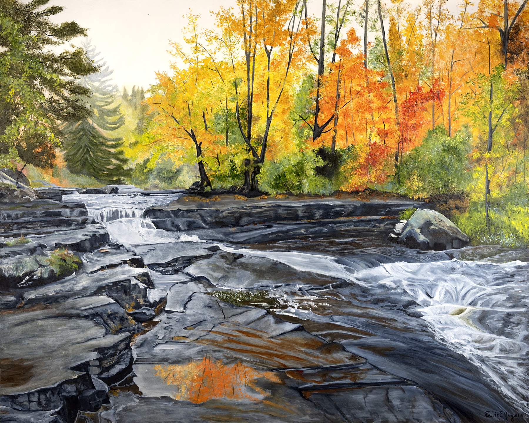 “Trout Stream Dreams”