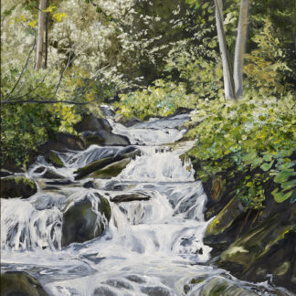 “Hidden Falls”