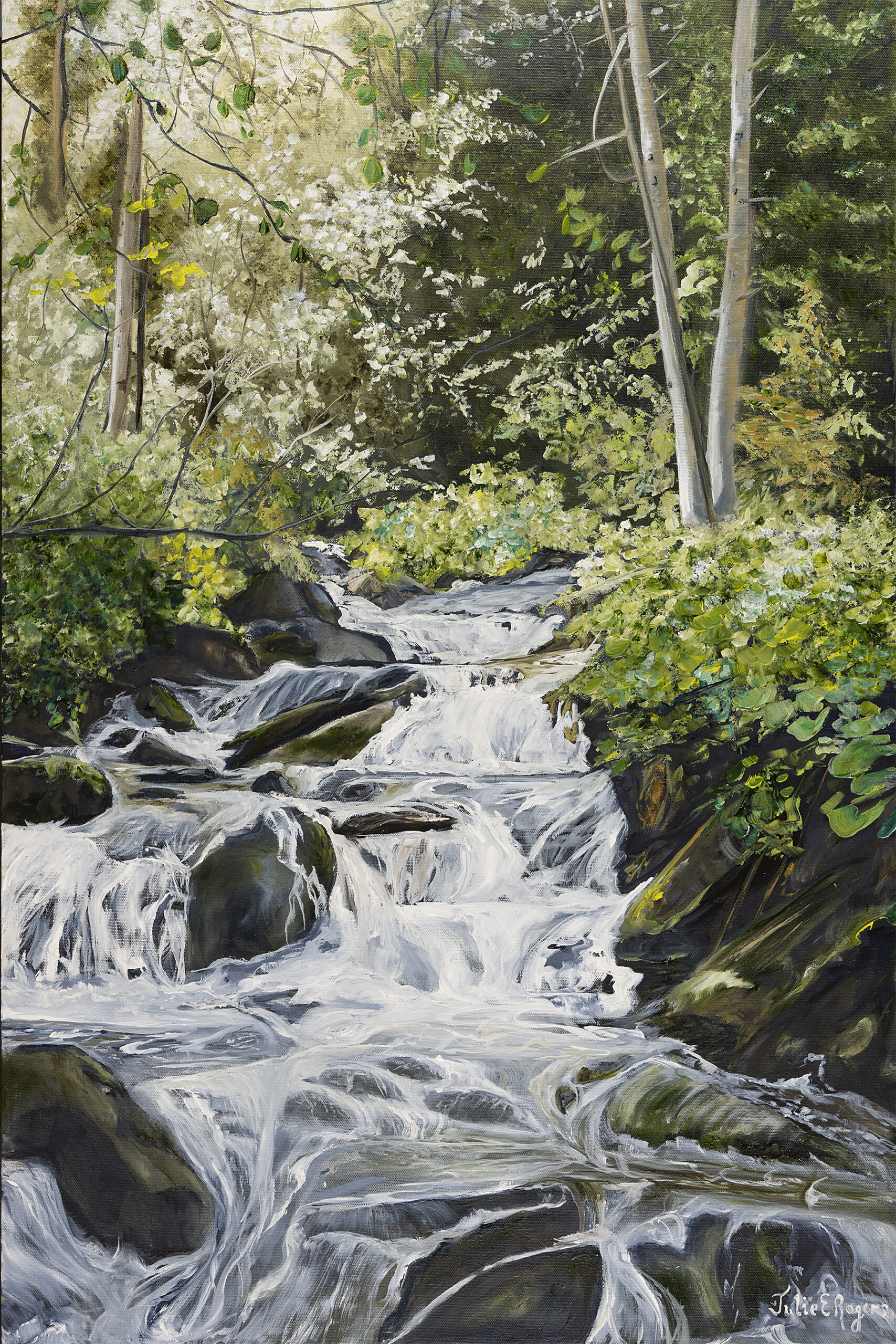 “Hidden Falls”