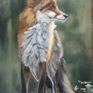 “King of the Hill”